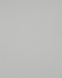 South Beach Rice Paper by   