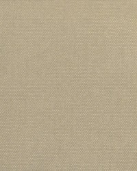 South Beach Silver by   