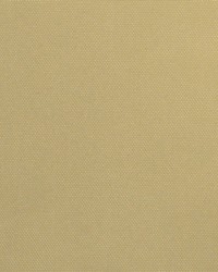 South Beach Latte by   