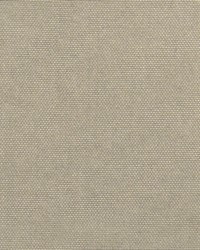 South Beach Chrome by   