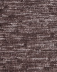 Crypton Home Sonoma Primrose by   