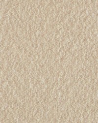 Crypton Home Cooper Linen by   