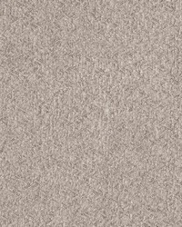 Crypton Home Cooper Latte by   