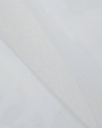 Camden Bone by  Magnolia Fabrics  