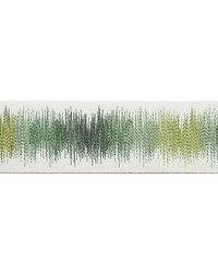 Derry Emb Tape Lime by  Magnolia Fabrics  