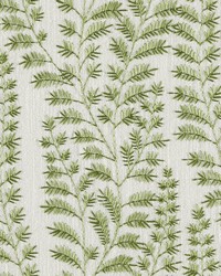 Brookline Elm by  Magnolia Fabrics  