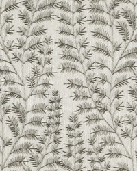 Brookline Stone by  Magnolia Fabrics  