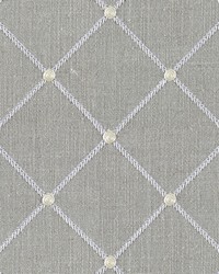 Malden Chinchilla by   