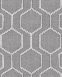 Newton Chinchilla by   