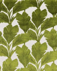 Medora Palm by  Magnolia Fabrics  