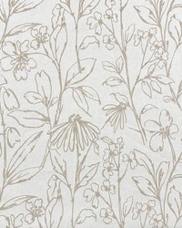 Agnes Ivory by  Magnolia Fabrics  