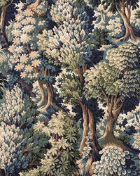 Wyatt Earth by  Collier Campbell 