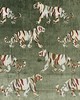 Magnolia Fabrics Tigress SAFARI