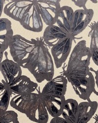 Avianna Slate by  Magnolia Fabrics  