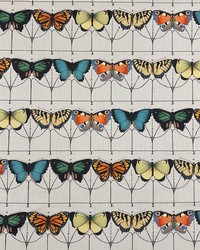 Flutter Chromatic by   