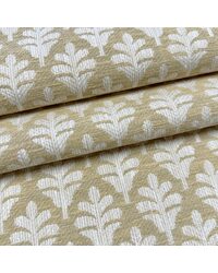 Odette Straw by   