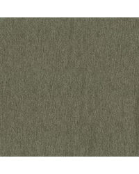 Warren Pine by  Magnolia Fabrics  