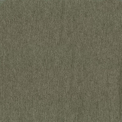 Magnolia Fabrics  Warren PINE