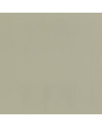 Sentinel Beige by  Magnolia Fabrics  