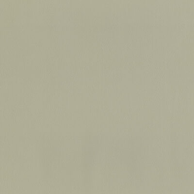 Magnolia Fabrics  Sentinel BEIGE