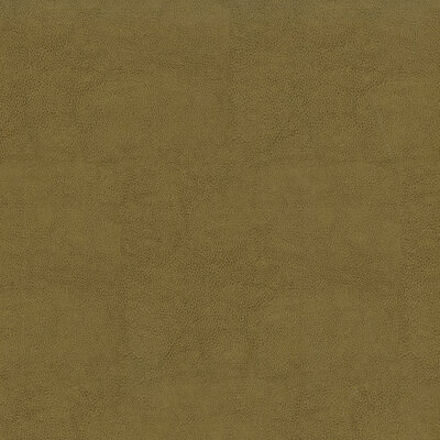 Magnolia Fabrics  Sentinel DUNE