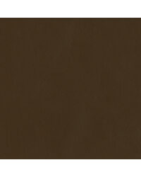 Sentinel Gingerbread by  Magnolia Fabrics  