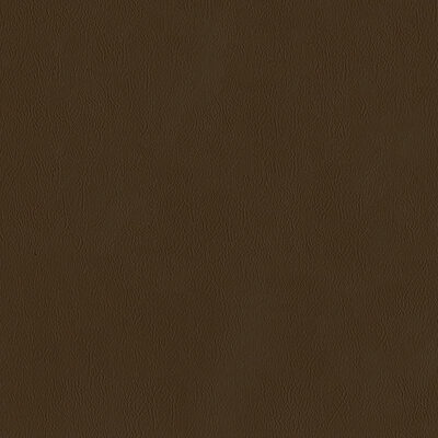 Magnolia Fabrics  Sentinel GINGERBREAD