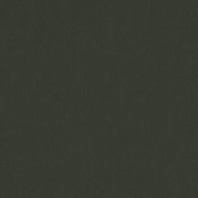 Magnolia Fabrics  Sentinel GRAPHITE