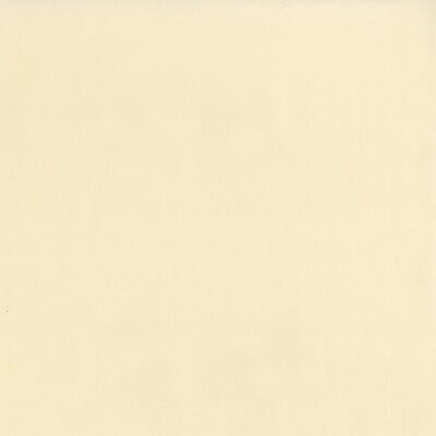 Magnolia Fabrics  Sentinel LATTE
