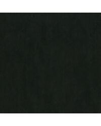 Sentinel Noir by  Magnolia Fabrics  