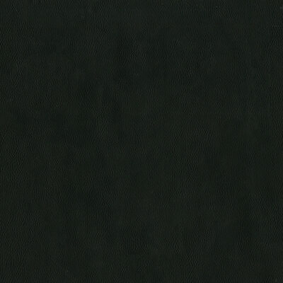 Magnolia Fabrics  Sentinel NOIR