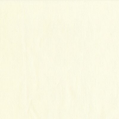 Magnolia Fabrics  Sentinel OYSTER