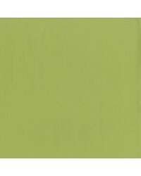 Sentinel Pistachio by  Magnolia Fabrics  