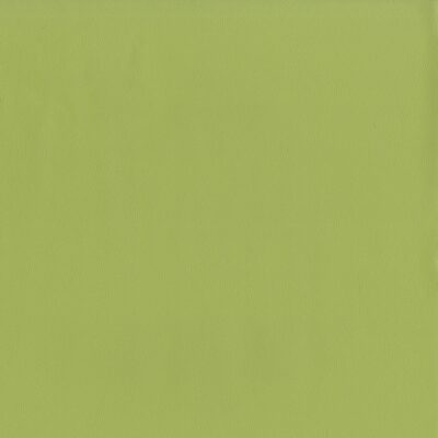 Magnolia Fabrics  Sentinel PISTACHIO