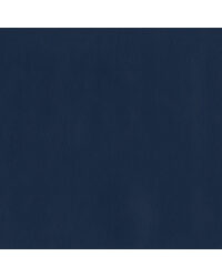 Sentinel Sapphire by  Magnolia Fabrics  
