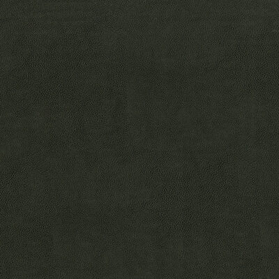 Magnolia Fabrics  Sentinel SHADOW