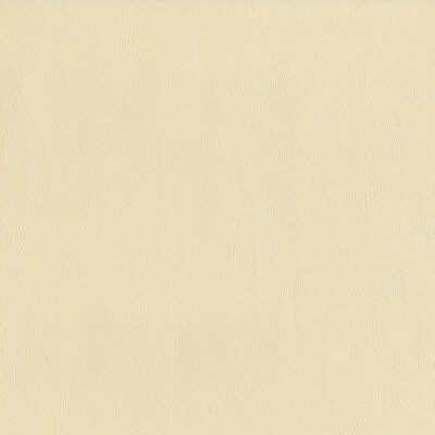 Magnolia Fabrics  Sentinel STARLIGHT