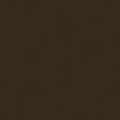 Magnolia Fabrics  Sentinel WALNUT