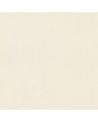 Westin Canvas by  Magnolia Fabrics  