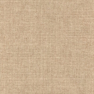Magnolia Fabrics  Ruzgar NATURAL