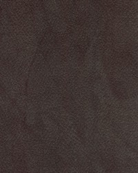 Degraw Graphite by  Magnolia Fabrics  