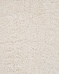 Peter Beige by  Magnolia Fabrics  