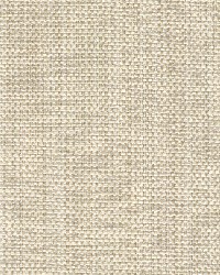 Zook Natural by  Magnolia Fabrics  