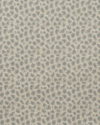 Halusk Spray by  Magnolia Fabrics  