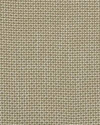 Ignis Aloe by  Magnolia Fabrics  