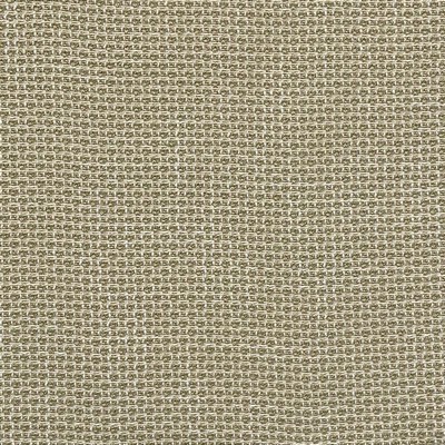 Magnolia Fabrics Ignis Aloe Green Upholstery POLY Fire Rated Fabric High Wear Commercial Upholstery CA 117   Fabric MagFabrics  MagFabrics Ignis Aloe