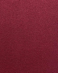 Heydey Magenta by  Stroheim 