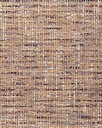 Crypton Home Rushdie Cameo by   