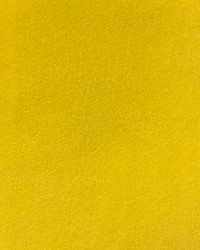 Emmi Amber by  Magnolia Fabrics  