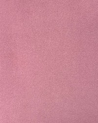 Emmi Quartz by  Magnolia Fabrics  